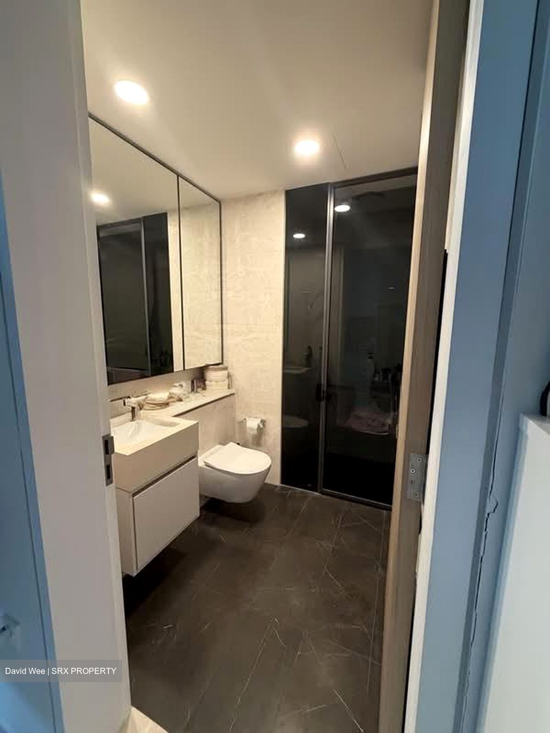 Amber Park (D15), Condominium #603624801